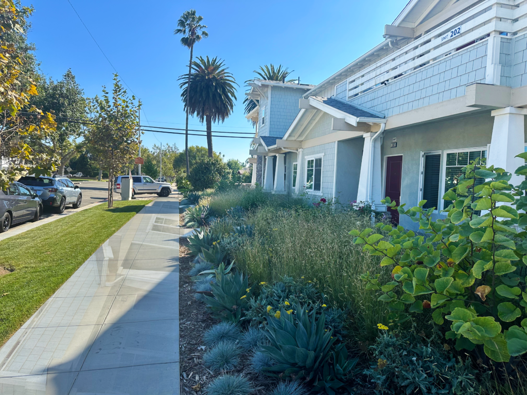 Magnolia Village Multi-family Residentialproject by CCE Design Associates